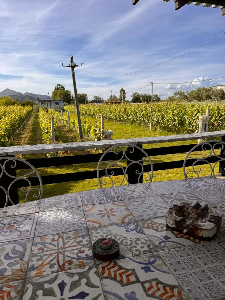 Outdoor terrace overlooking the vineyard
